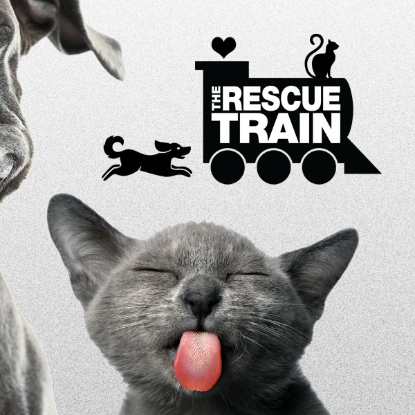 Pitbull Education - Resources - The Rescue Train