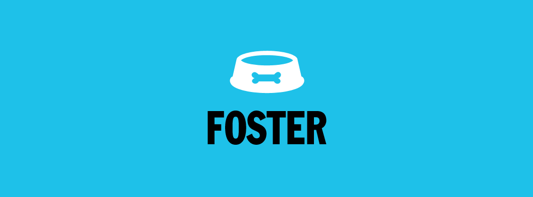 Foster