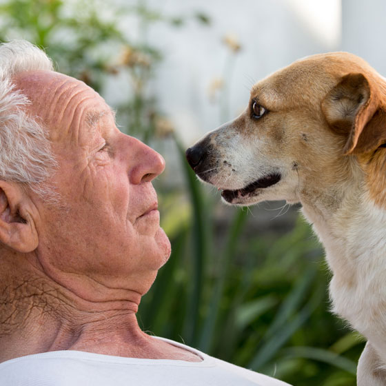 Elderly Man with Dog
