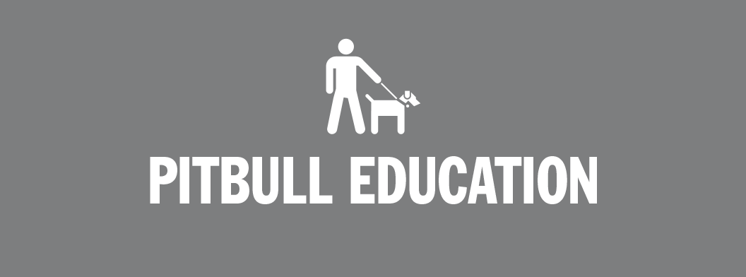 Pitbull Education